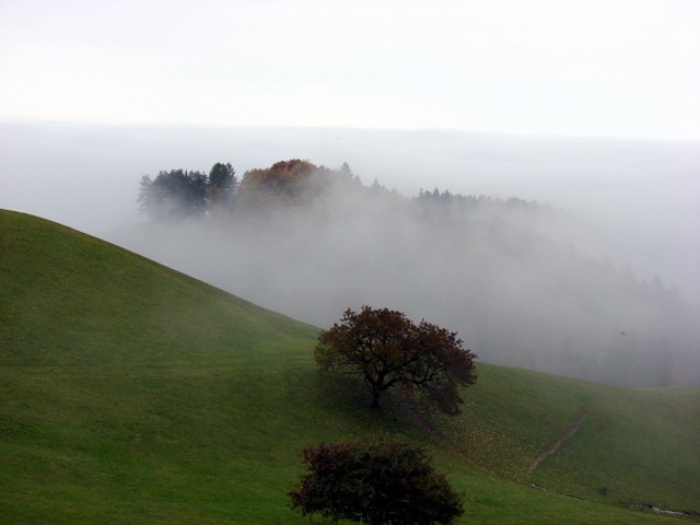 Jesen - foto povečava