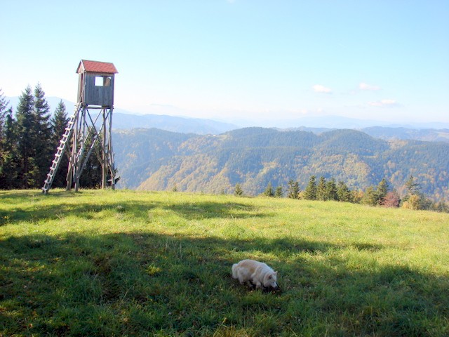 Jesen - foto povečava