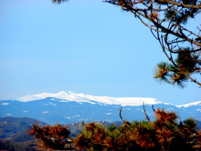 Razstava LGO - foto povečava