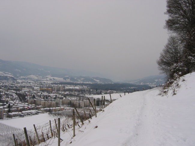 Lepa naša - foto povečava