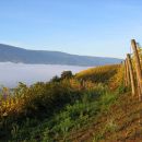 pohorje nad morjem