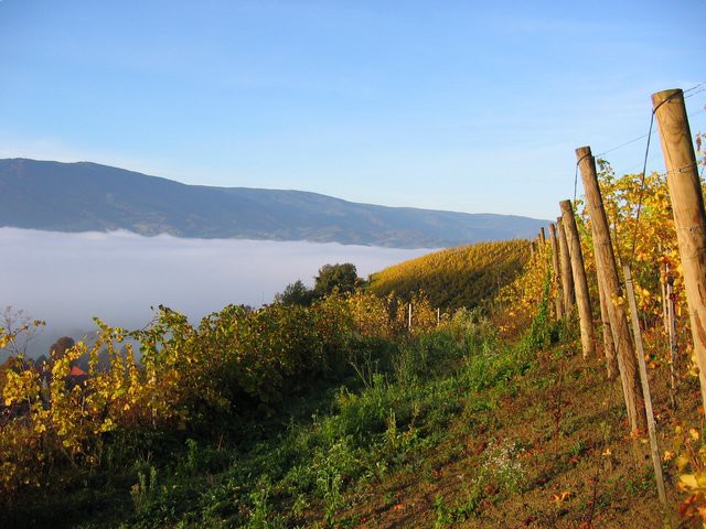 pohorje nad morjem