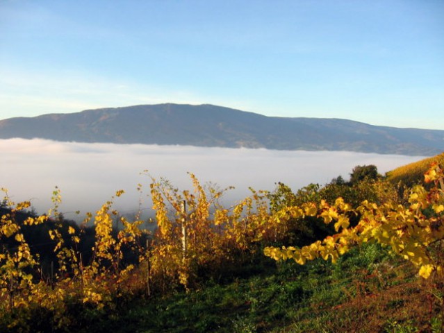 Pohorje - foto