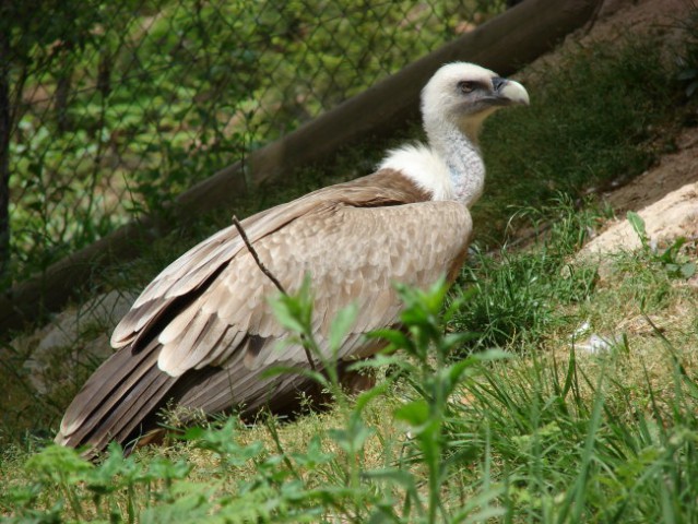 Zoo Ljublljana - foto