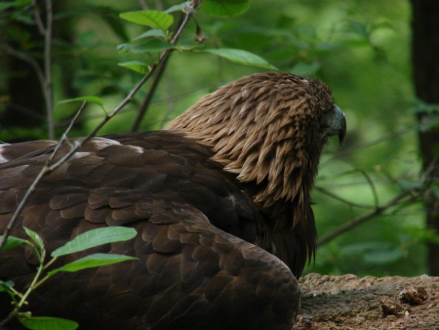 Zoo Ljublljana - foto