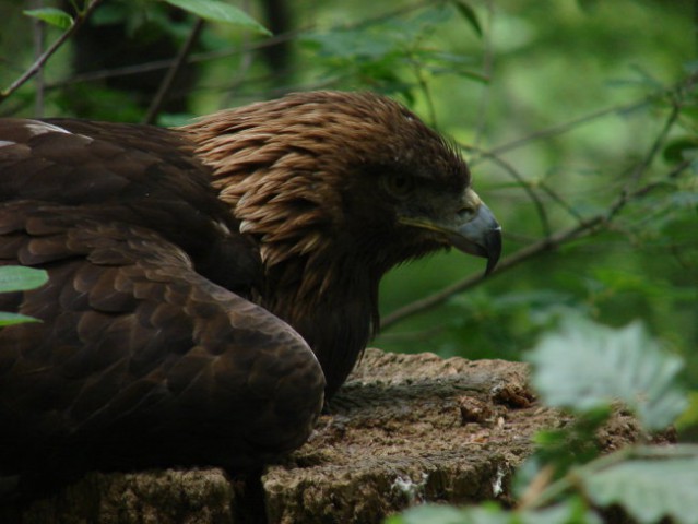 Zoo Ljublljana - foto