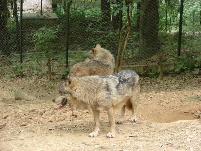 Zoo Ljublljana - foto