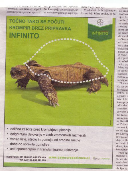 Ni bol butaste rekla me kot je ta.