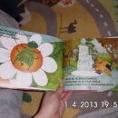 KRAVICA KATKA - 5 eur