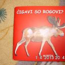 Čigavi so rogovi - 5 eur
