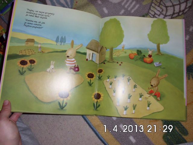 Mali zajček in veliko korenje, nova knjiga - 10 eur