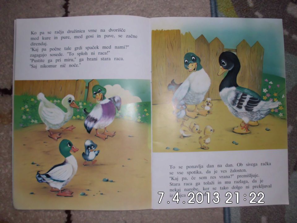 Grdi raček - 5 eur