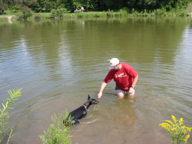 Prvic v vodi - Lake Simcoe, Ontarijo, Kanada, poletje 2004