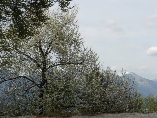 Kranj / Kamnik - foto