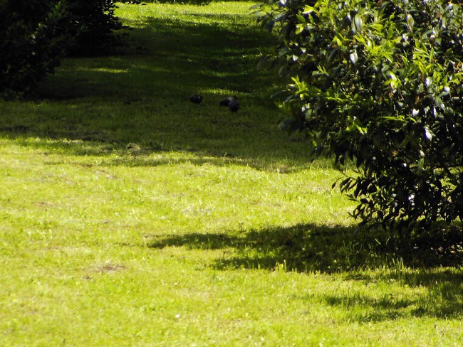 Slovenj Gradec - foto povečava