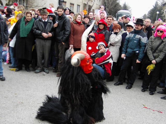 Ptuj - foto