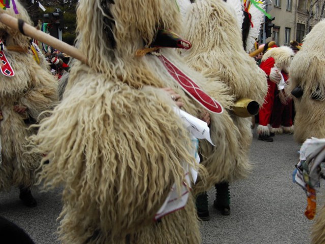 Ptuj - foto