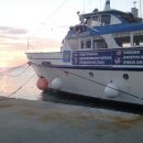 Koper