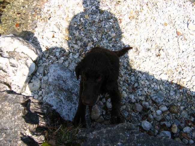 Iški vintgar - foto povečava