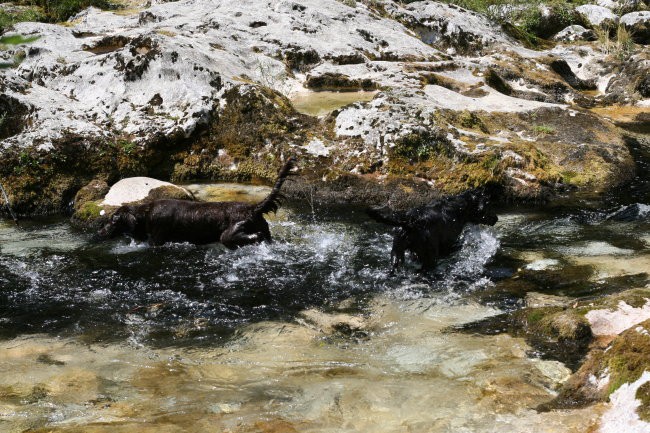 2007 - foto povečava