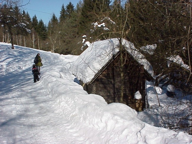 Zima 2006