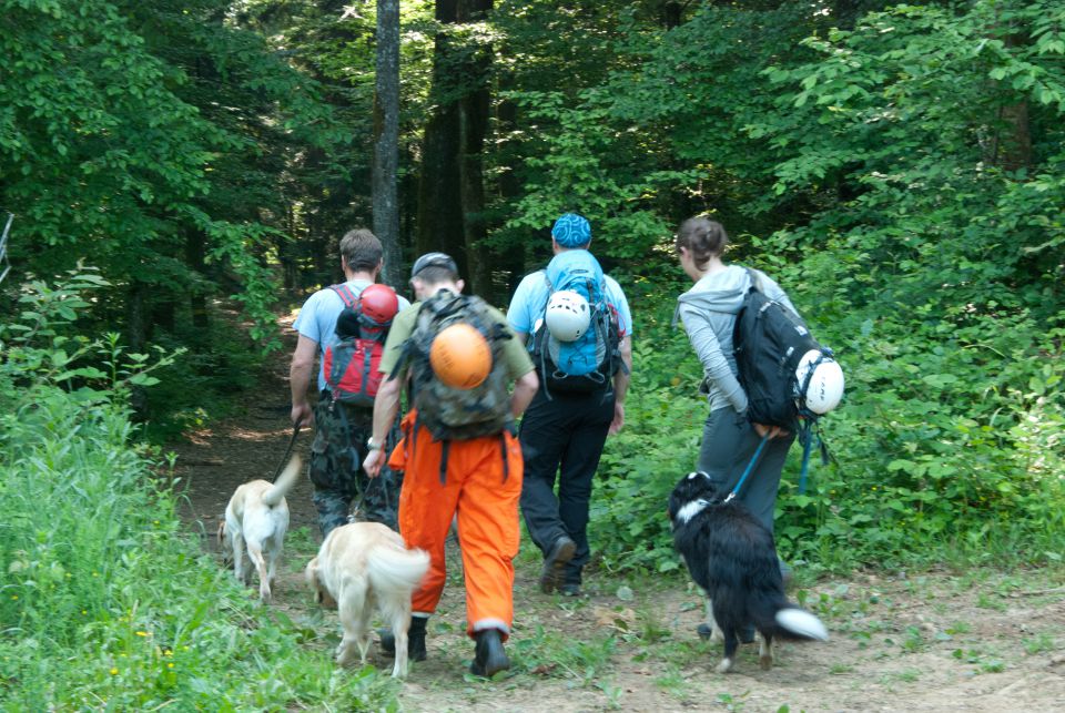 Vaja reševalnih psov Novo Mesto 21.5.2011 - foto povečava