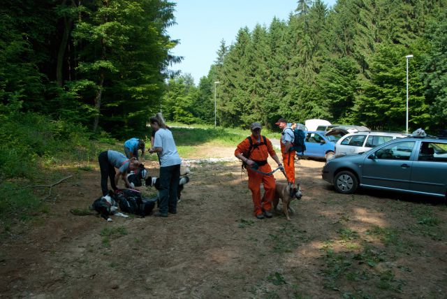 Vaja reševalnih psov Novo Mesto 21.5.2011 - foto