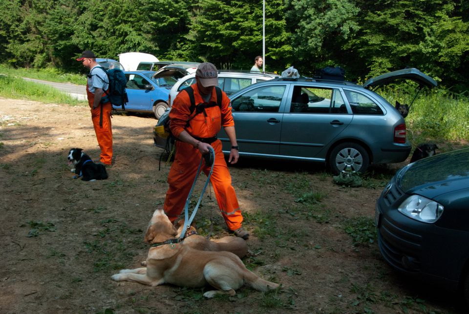 Vaja reševalnih psov Novo Mesto 21.5.2011 - foto povečava