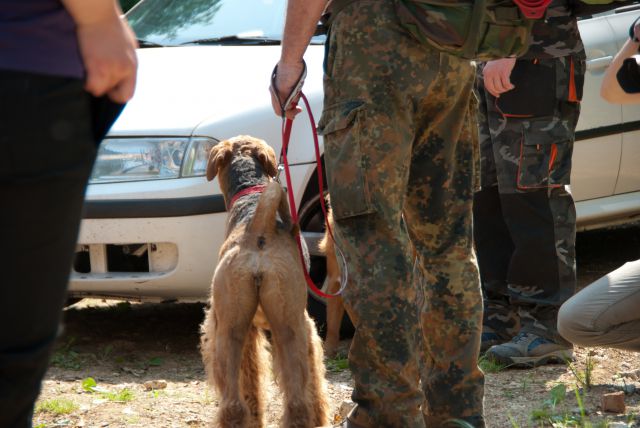 Vaja reševalnih psov Novo Mesto 21.5.2011 - foto