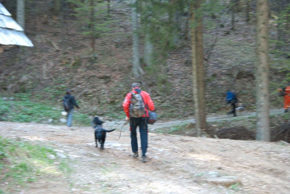 Vaja reševalnih psov Storžič 23.4.2011 - foto povečava