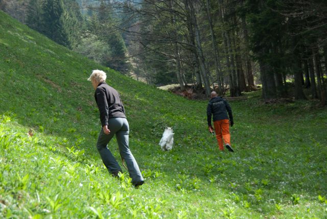 Vaja reševalnih psov Storžič 23.4.2011 - foto