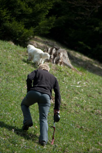 Vaja reševalnih psov Storžič 23.4.2011 - foto