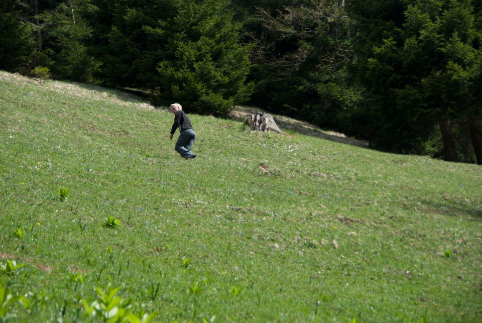 Vaja reševalnih psov Storžič 23.4.2011 - foto povečava