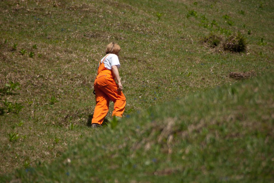 Vaja reševalnih psov Storžič 23.4.2011 - foto povečava