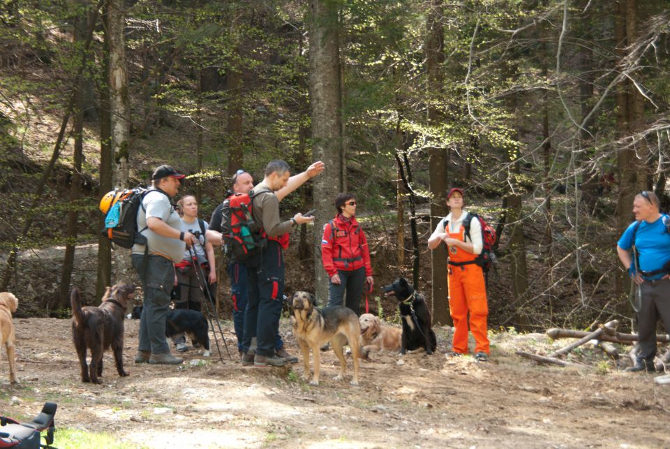 Vaja reševalnih psov Storžič 23.4.2011 - foto povečava