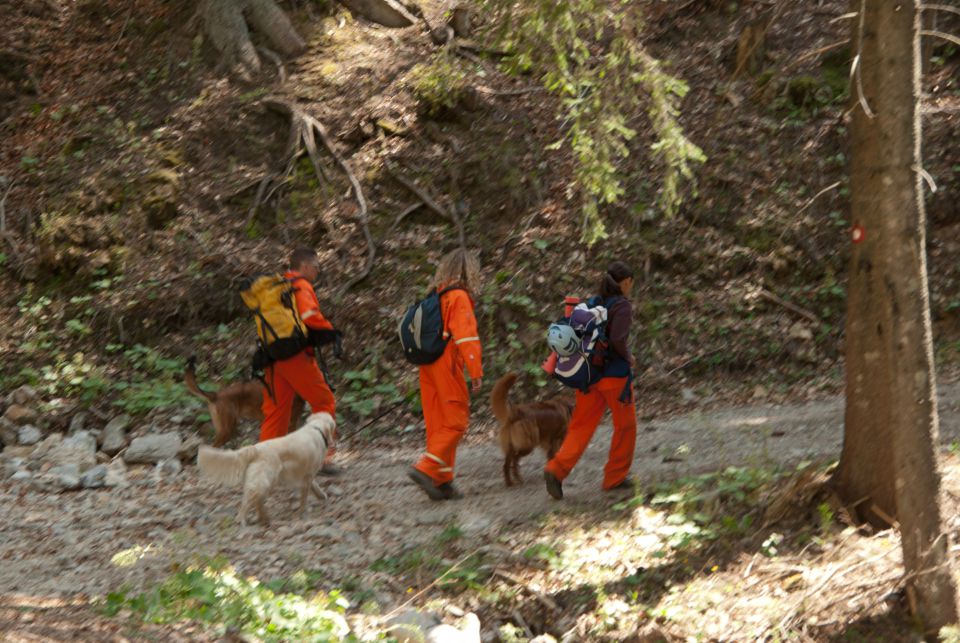 Vaja reševalnih psov Storžič 23.4.2011 - foto povečava