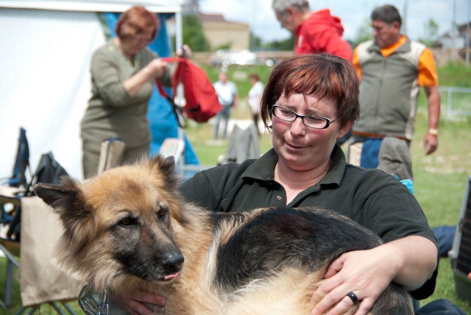 AGILITY TEKMA DUPLICA PRI KAMNIKU - foto povečava