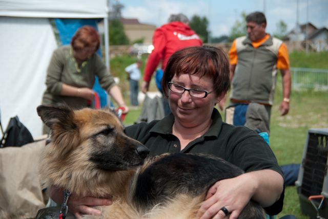 AGILITY TEKMA DUPLICA PRI KAMNIKU - foto