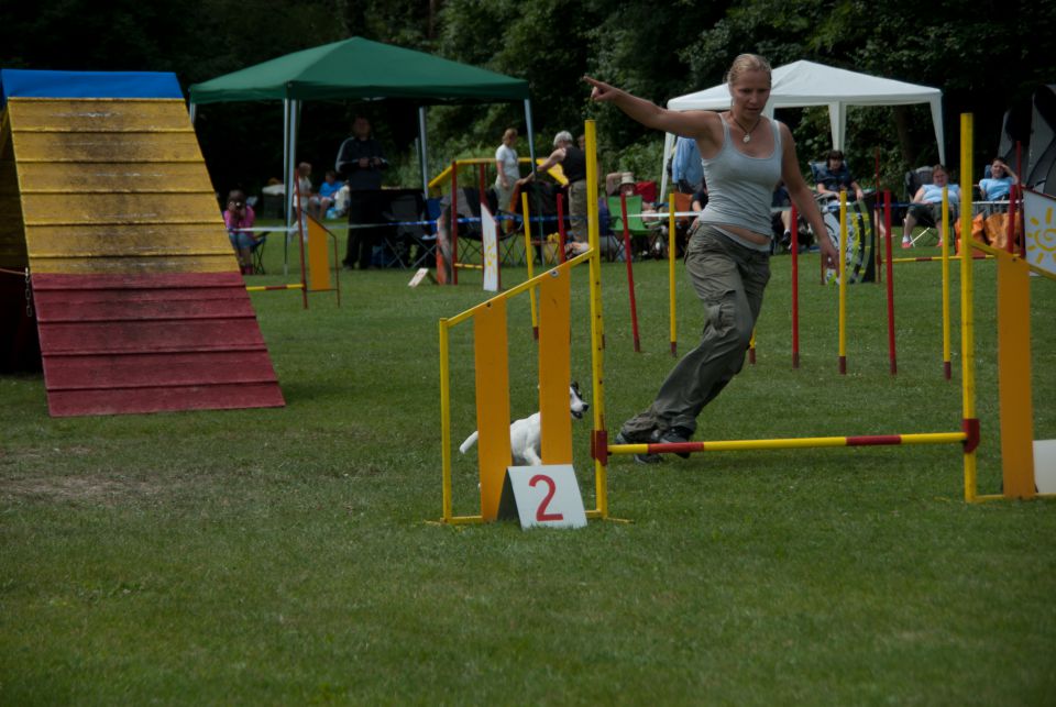 AGILITY TEKMA DUPLICA PRI KAMNIKU - foto povečava