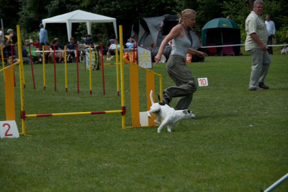 AGILITY TEKMA DUPLICA PRI KAMNIKU - foto povečava