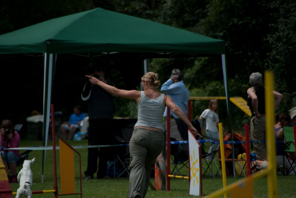 AGILITY TEKMA DUPLICA PRI KAMNIKU - foto povečava