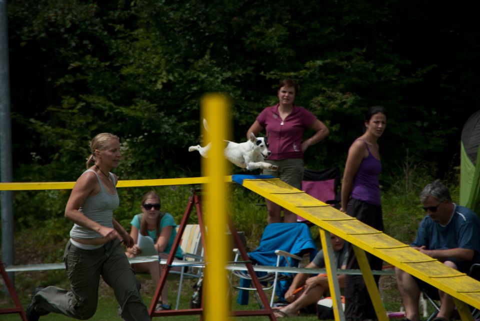 AGILITY TEKMA DUPLICA PRI KAMNIKU - foto povečava