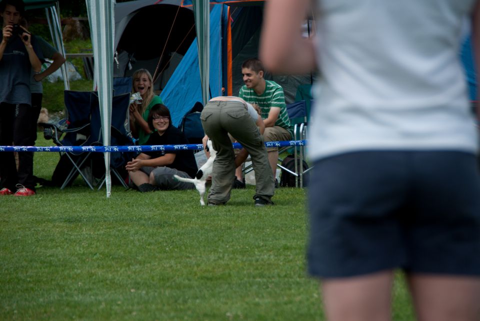 AGILITY TEKMA DUPLICA PRI KAMNIKU - foto povečava