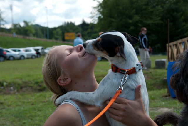 AGILITY TEKMA DUPLICA PRI KAMNIKU - foto