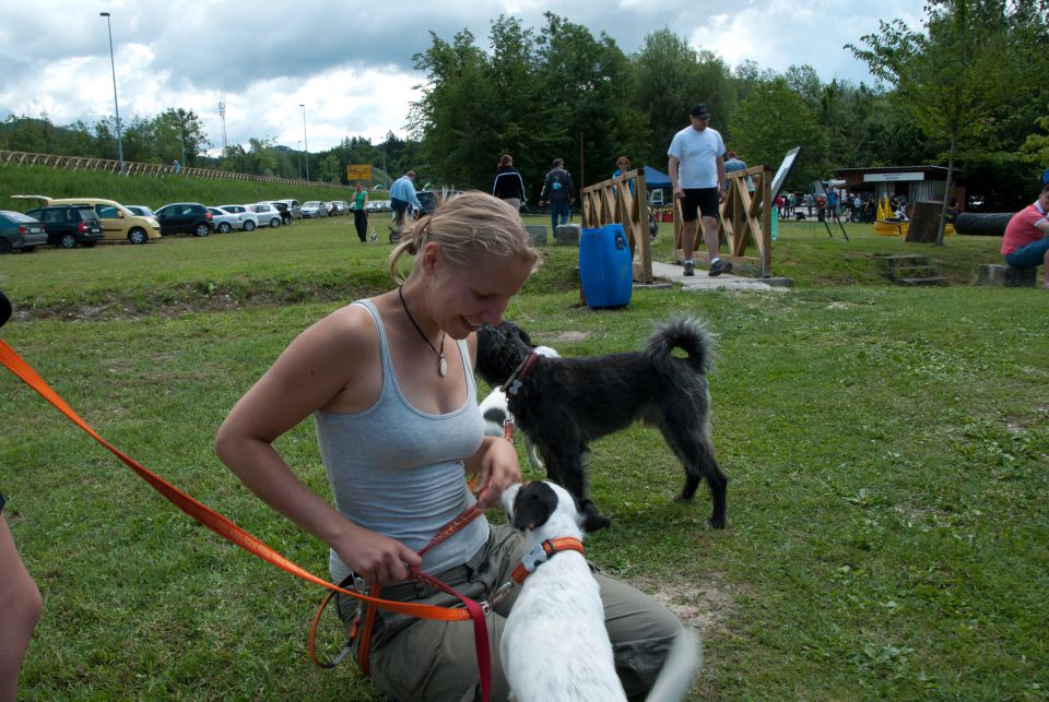 AGILITY TEKMA DUPLICA PRI KAMNIKU - foto povečava