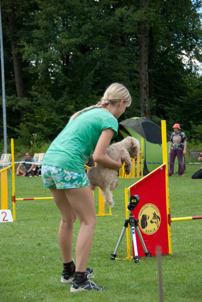 AGILITY TEKMA CUPLICA PRI KAMNIKU 2.DEL - foto povečava