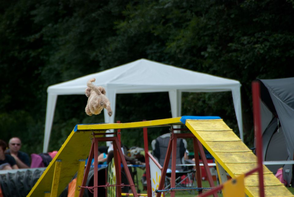 AGILITY TEKMA CUPLICA PRI KAMNIKU 2.DEL - foto povečava