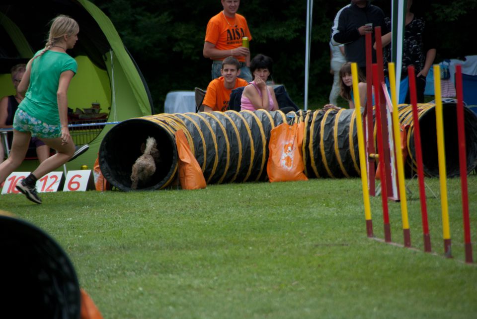 AGILITY TEKMA CUPLICA PRI KAMNIKU 2.DEL - foto povečava