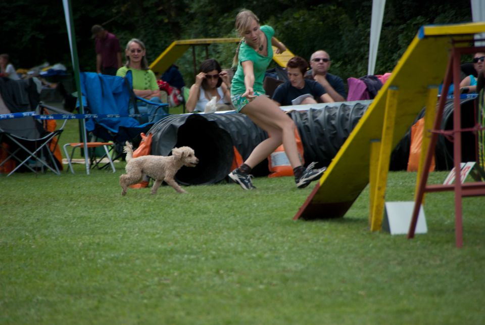 AGILITY TEKMA CUPLICA PRI KAMNIKU 2.DEL - foto povečava