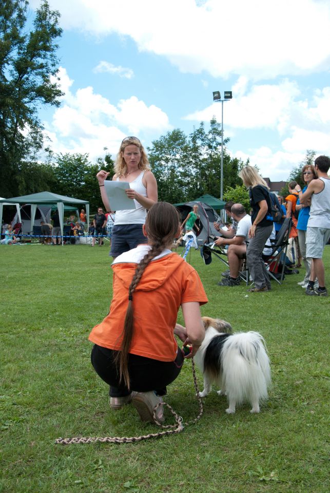 AGILITY TEKMA CUPLICA PRI KAMNIKU 2.DEL - foto povečava